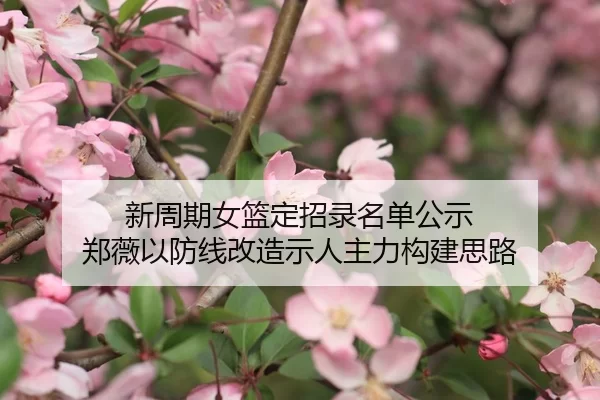 xin-zhou-qi-nv-lan-ding-zhao-lu-ming-dan-gong-shi-zheng-wei-yi-fang-xian-gai-zao-shi-ren-zhu-li-gou-jian-si-lu-2-880.jpg